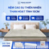 Nệm cao su thiên nhiên Trung Nguyên than hoạt tính 15cm 60
