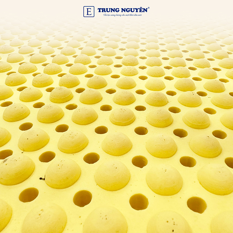 Nệm cao su thiên nhiên massage Trung Nguyên