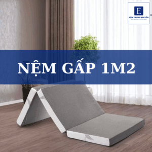 Top 3 nệm gấp 1m2 đáng mua kèm bảng giá chi tiết mới nhất