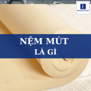 Nệm mút là gì? Ưu nhược điểm và kinh nghiệm chọn mua chi tiết