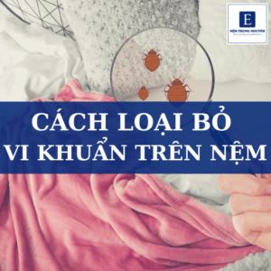 Cách loại bỏ vi khuẩn trên nệm đơn giản và hiệu quả tại nhà