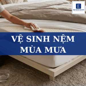 Cách vệ sinh nệm mùa mưa hiệu quả giúp nệm luôn sạch, bảo vệ sức khỏe