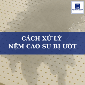 Cách xử lý nệm cao su bị ướt nhanh khô, không bị mốc hiệu quả
