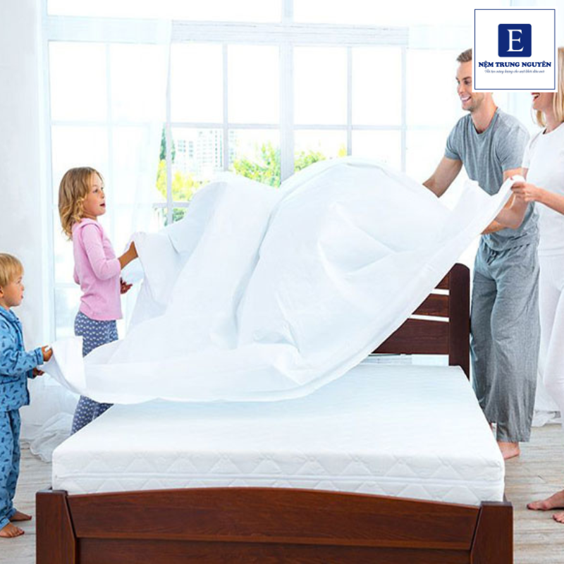 Vệ sinh nệm đúng cách không chỉ giúp làm sạch hiệu quả mà còn hạn chế ẩm mốc và giữ nệm bền đẹp lâu hơn