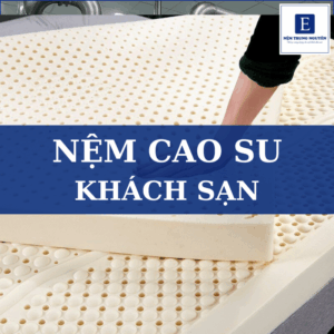Top 5 dòng nệm cao su khách sạn được ưa chuộng hiện nay