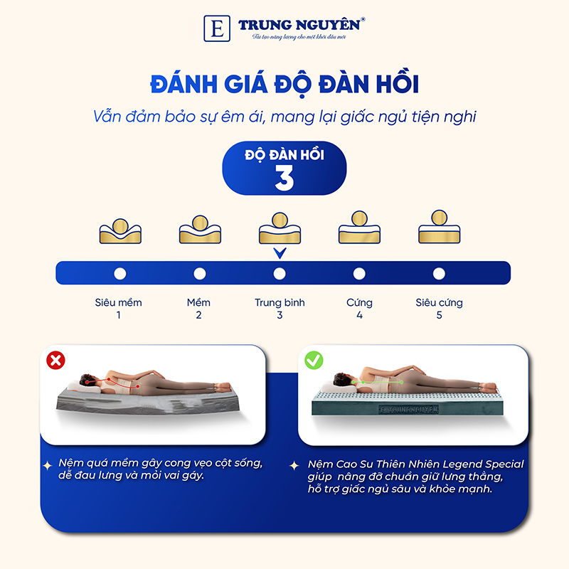 Nệm cao su thiên nhiên Trung Nguyên Legend Special