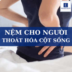 To 3 loại nệm cho người thoái hóa cột sống tốt nhất hiện nay