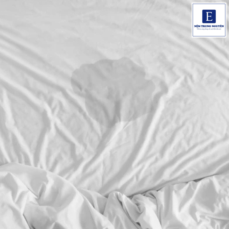 Có rất nhiều nguyên nhân khiến nệm cao su bị ướt