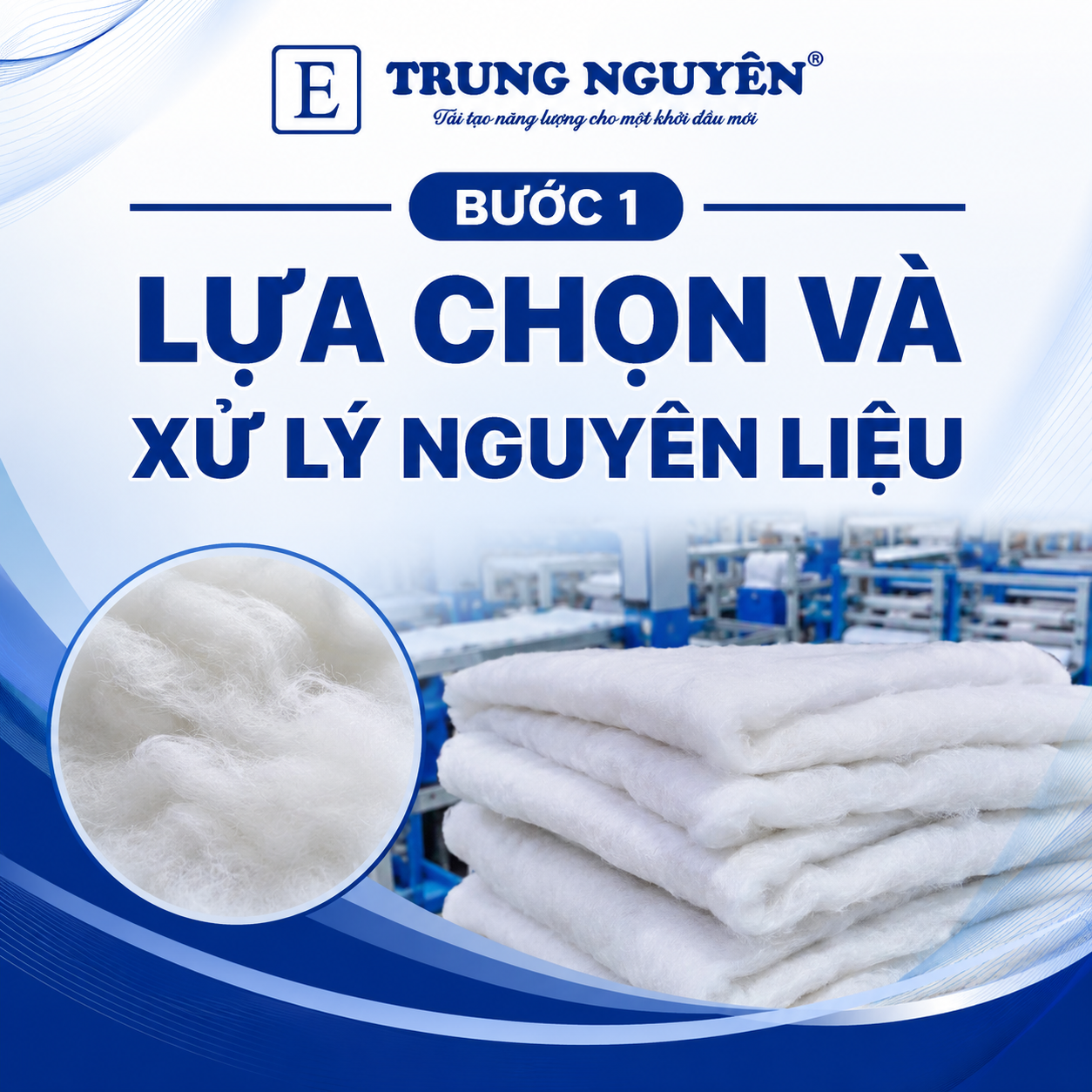 Lựa chọn và xử lý nguyên liệu