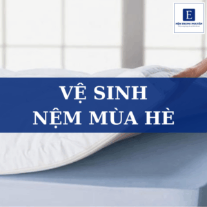 Hướng dẫn vệ sinh nệm mùa hè đúng cách giúp kéo dài tuổi thọ nệm