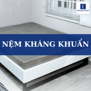 Nệm kháng khuẩn là gì? Top 3 dòng nệm kháng khuẩn đáng tham khảo hiện nay