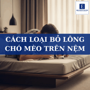 Cách loại bỏ lông chó mèo trên nệm nhanh chóng, hiệu quả tại nhà