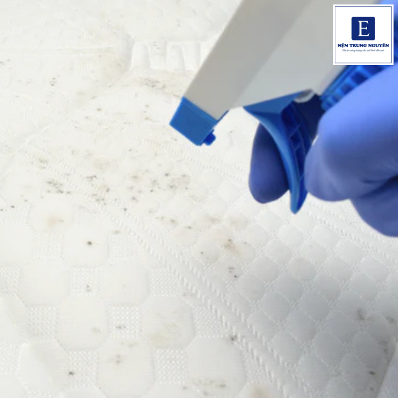 Khi phát hiện nệm foam bị mốc, cần xử lý sớm và đúng cách để hạn chế nấm mốc lan rộng mà không làm ảnh hưởng đến chất liệu nệm