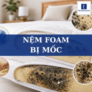 Nệm foam bị mốc: Nguyên nhân và cách xử lý đơn giản, hiệu quả