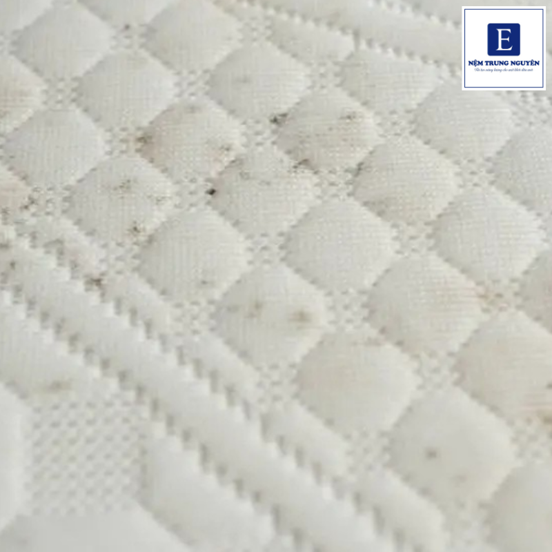 Khi xử lý nệm foam bị mốc, cần tránh những cách vệ sinh sai lầm có thể khiến nệm lâu khô, mốc tái phát hoặc làm ảnh hưởng đến chất liệu foam