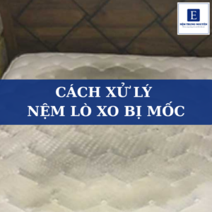 Cách xử lý nệm lò xo bị mốc nhanh chóng, dễ thực hiện